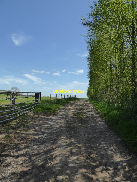 Photo 6"x4" Farmland access track Marston Stannett c2017