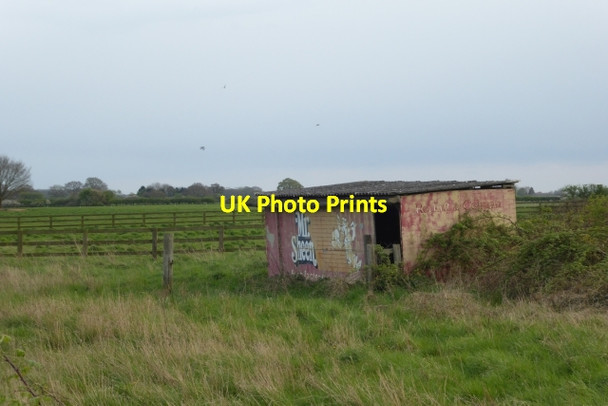 Photo 6"x4" Mr Sheen Newton upon Derwent c2017