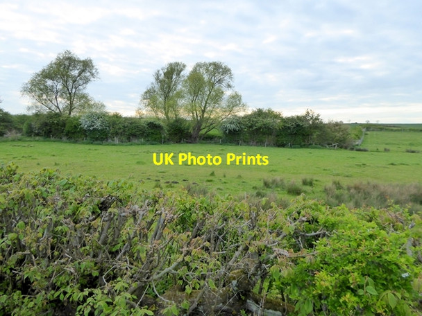 Photo 6"x4" Field and hedgerows Pickworth\/TF0433 c2017