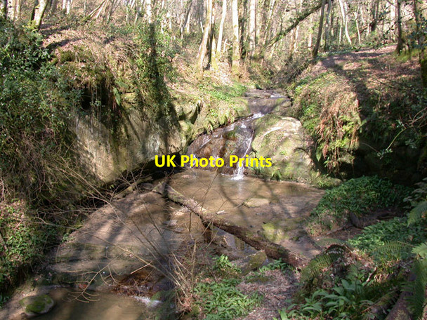 Photo 6"x4" Gill in Marline Wood Green Street\/TQ7611 c2003