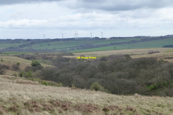 Photo 6"x4" Looking down the valley of the Forest Burn Newtown\/NU0300 c2017