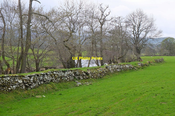 Photo 6"x4" Old wall, Stobo Stobo c2017