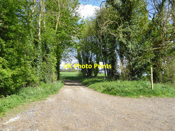 Photo 6"x4" Oak Hill Lane Axford\/SU6143 c2017
