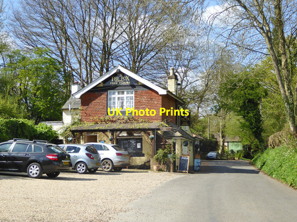 Photo 6"x4" The Fox, Ellisfield Upper Common\/SU6345 c2017