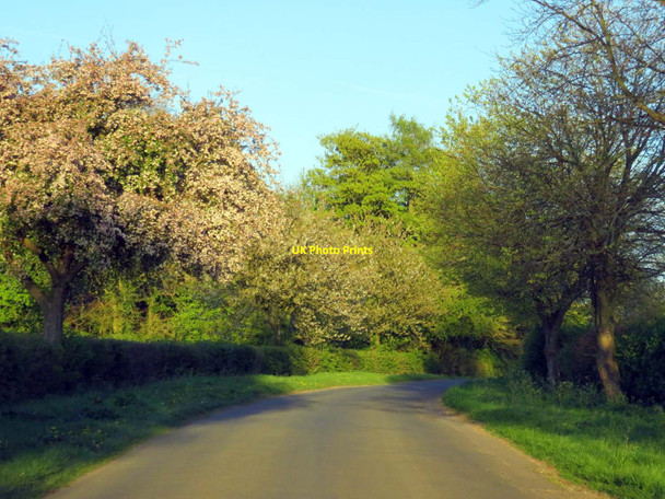 Photo 6"x4" A bend in the road to Chadlington Sarsden c2017