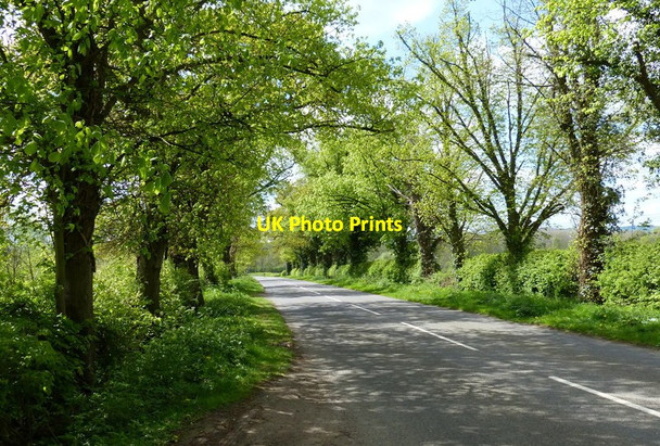 Photo 6"x4" The Ridings at Rothley Plain Rothley Plain c2017