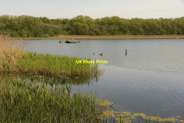 Photo 6"x4" Boultham Mere Lincoln c2017