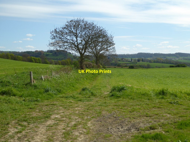 Photo 6"x4" Footpath to Wortley Wotton-under-Edge c2017