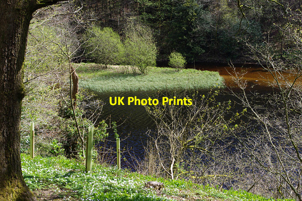 Photo 6"x4" The Lake, Clapham Clapham\/SD7469 c2017