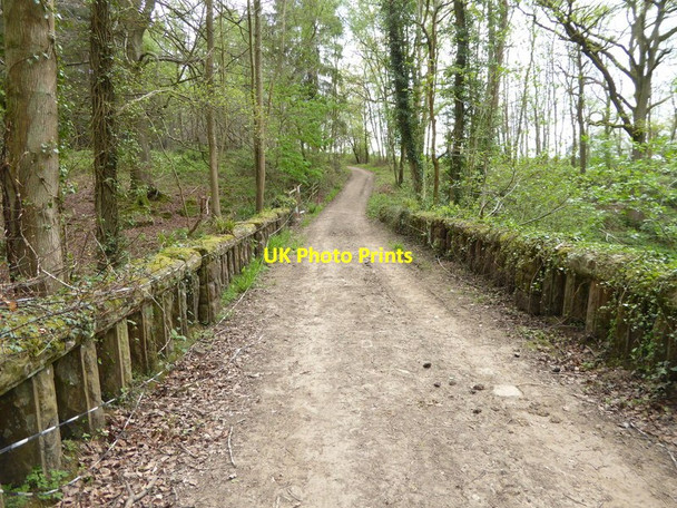 Photo 6"x4" Footpath crosses bridge and proceeds uphill Balcombe Lane c2017