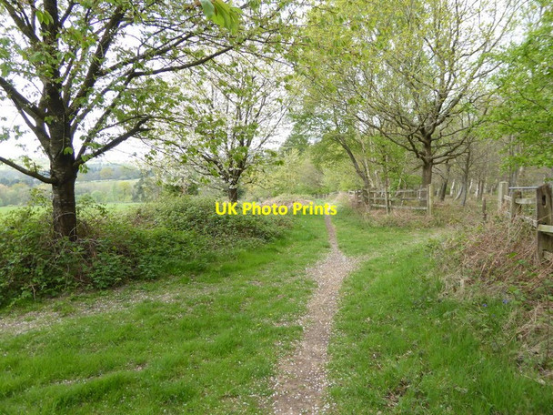 Photo 6"x4" Footpath between Back Lane and Worth Abbey and School Balcombe Lane c2017