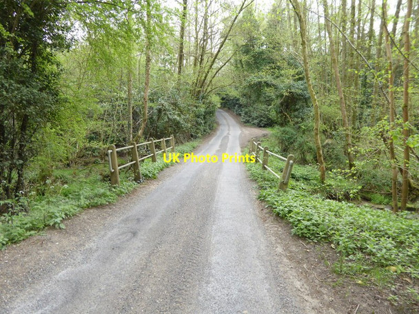 Photo 6"x4" Bridge over stream on Stoney Lane Balcombe Lane c2017