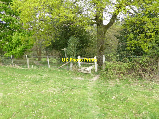 Photo 6"x4" Field path goes towards stile into woodland Turners Hill c2017