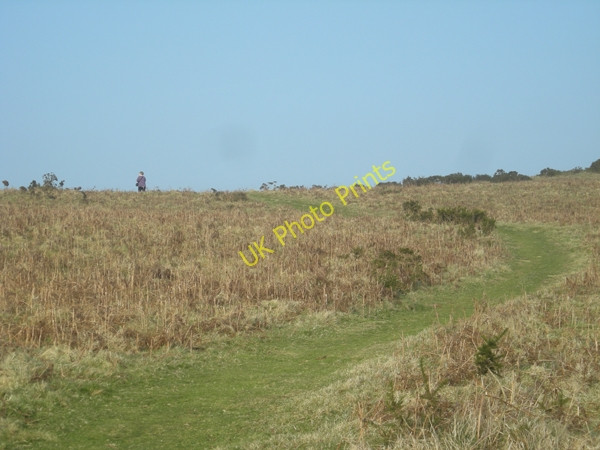 Photo 6"x4" Strolling across the hillside Hope Bowdler c2009