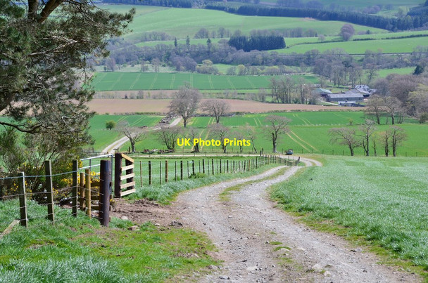 Photo 6"x4" Field track on Rubers Law Whitriggs\/NT5615 c2017