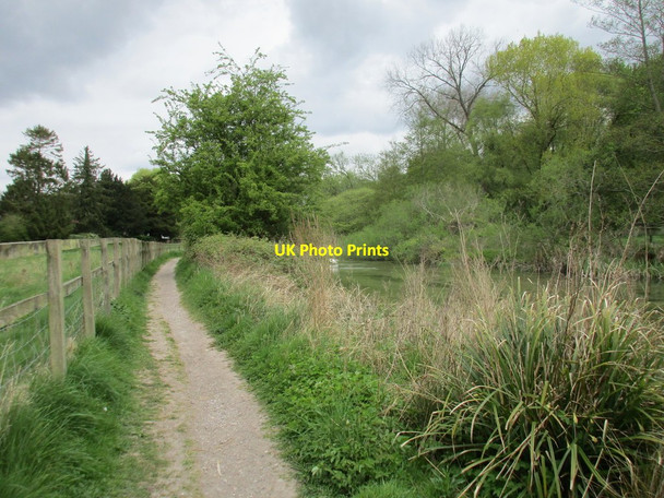 Photo 6"x4" Footpath by the River Test Lynch Hill\/SU4648 c2017