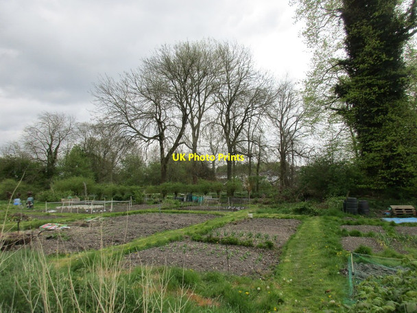 Photo 6"x4" Allotments off Test Road Lynch Hill\/SU4648 c2017