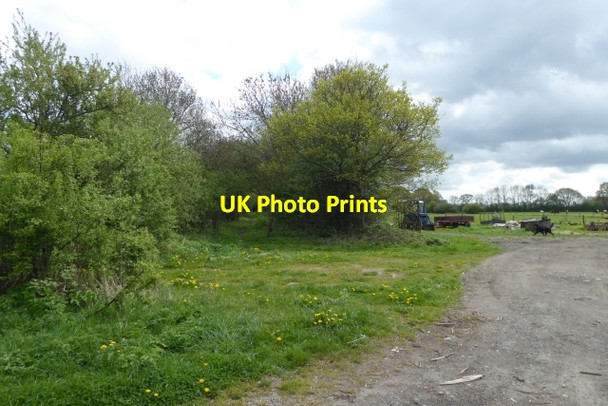 Photo 6"x4" Bridleway off Kidd Lane Melbourne\/SE7544 c2017