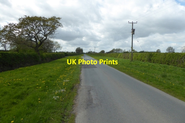 Photo 6"x4" Lane to East Cottingwith East Cottingwith c2017