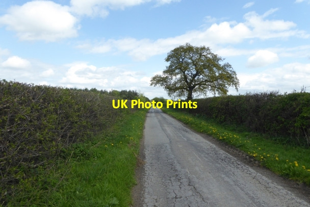 Photo 6"x4" Shortacre Lane Ellerton\/SE7039 c2017 P1