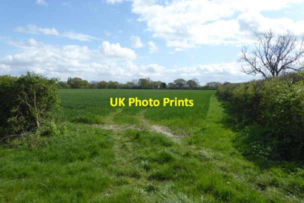 Photo 6"x4" Farmland near Ruddings Lane Ellerton\/SE7039 c2017