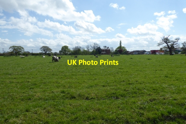 Photo 6"x4" Cow pasture Laytham c2017