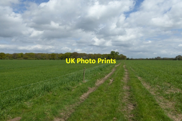 Photo 6"x4" Crossing fields Laytham c2017