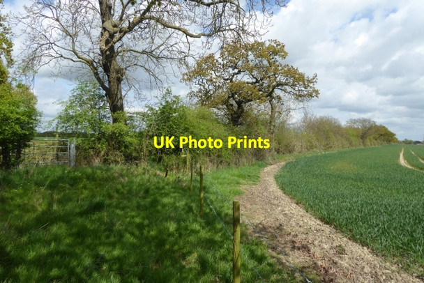 Photo 6"x4" Crossing fields Laytham c2017