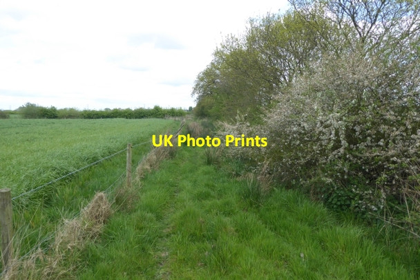 Photo 6"x4" Bridleway to Laytham Laytham c2017