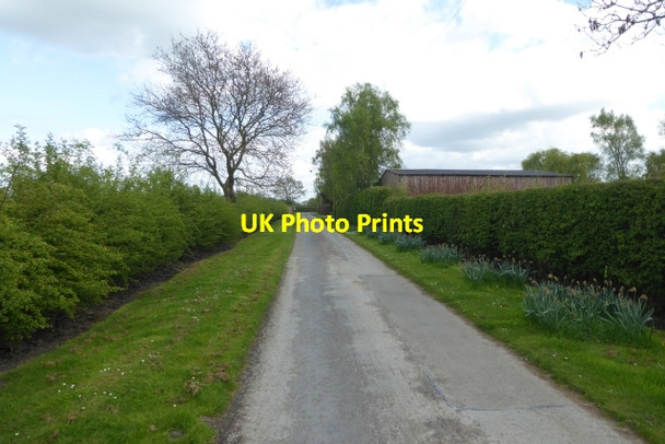 Photo 6"x4" New Road Laytham c2017