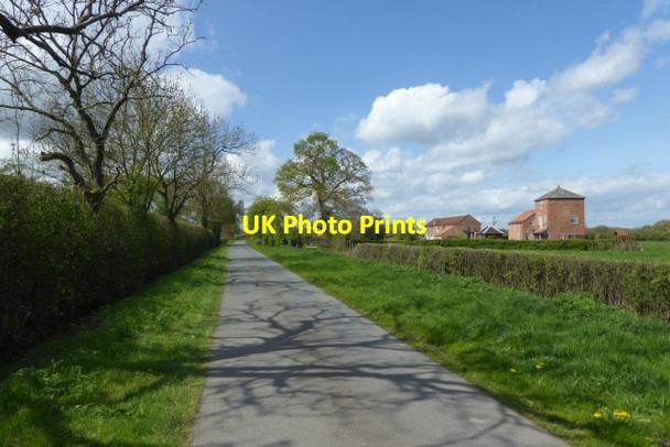 Photo 6"x4" Approaching Laytham Green Farm Laytham c2017