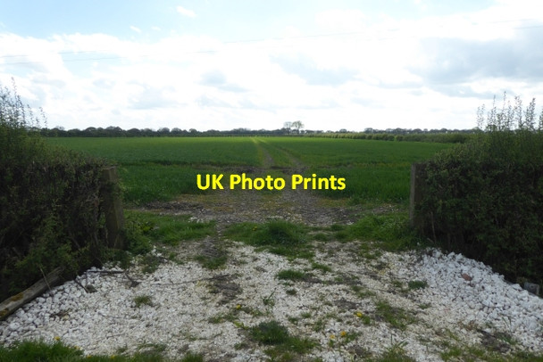 Photo 6"x4" Fields off the Laytham road Laytham c2017