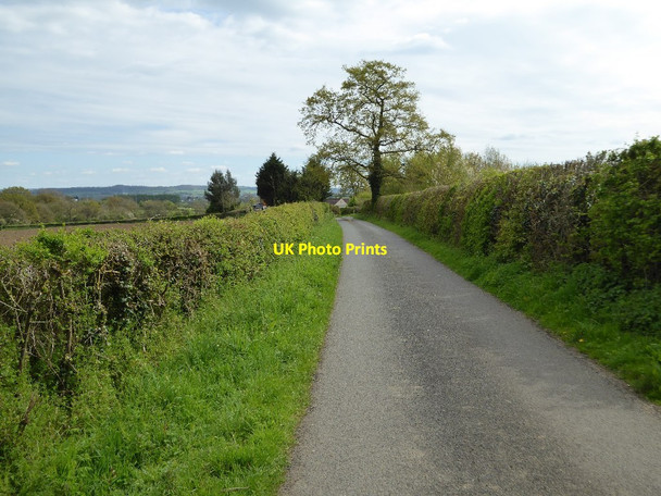 Photo 6"x4" No through road Bradley Green\/ST7493 c2017