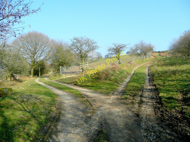 Photo 6"x4" Diverging tracks Llangadfan c2009