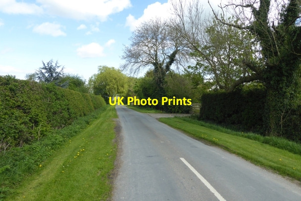 Photo 6"x4" Bridges Lane East Cottingwith c2017