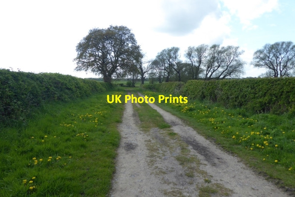 Photo 6"x4" Ings Lane Ellerton\/SE7039 c2017