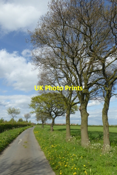 Photo 6"x4" Cottom Lane Ellerton\/SE7039 c2017