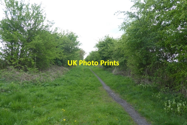 Photo 6"x4" Along the rail trail Highfield\/SE7236 c2017 P1