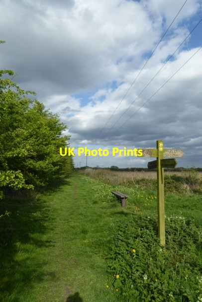 Photo 6"x4" Junction of paths Foggathorpe c2017