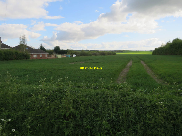 Photo 6"x4" Field by Little Eversden Harlton c2017