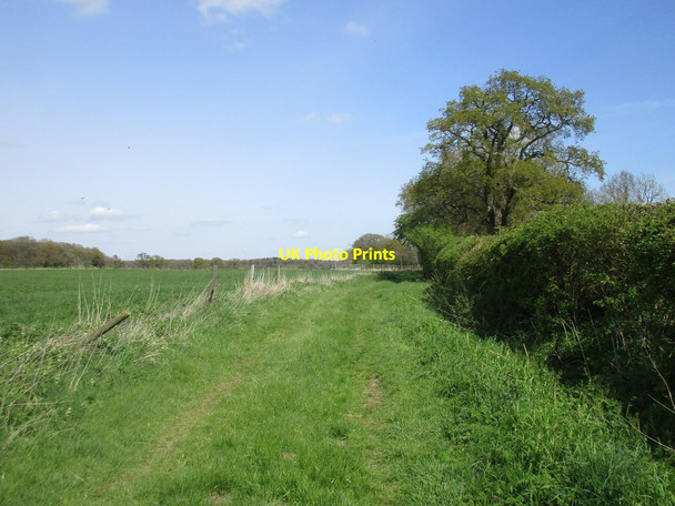 Photo 6"x4" Westbury Circular Ride Biddlesden c2017