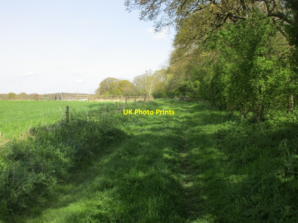 Photo 6"x4" Westbury Circular Ride Biddlesden c2017 P1