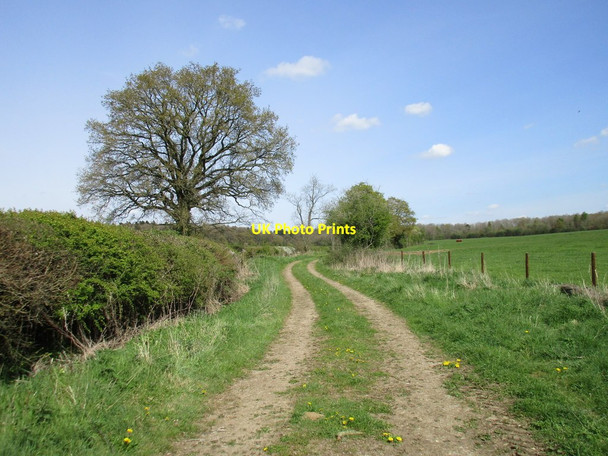 Photo 6"x4" Westbury Circular Ride near Castle Farm Biddlesden c2017
