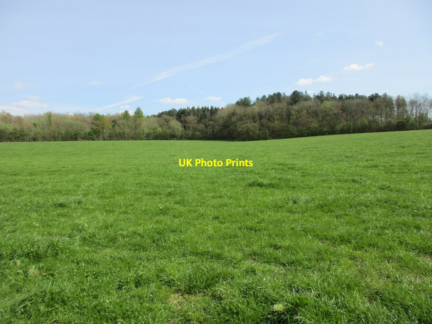 Photo 6"x4" Westbury Circular Ride Biddlesden c2017