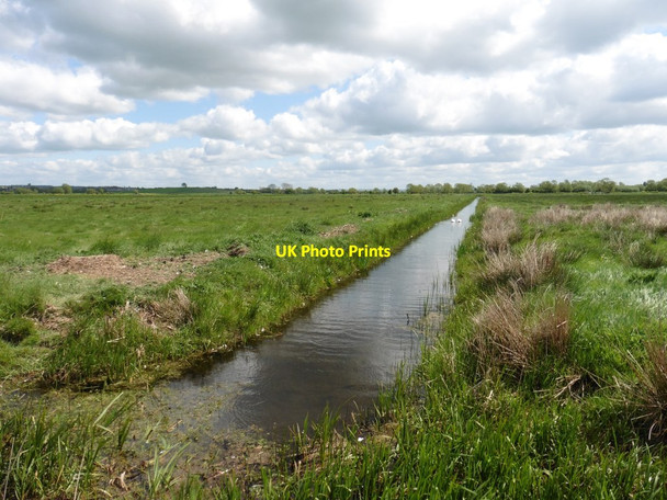 Photo 6"x4" Rhyne with swans on Wet Moor Little Load c2017