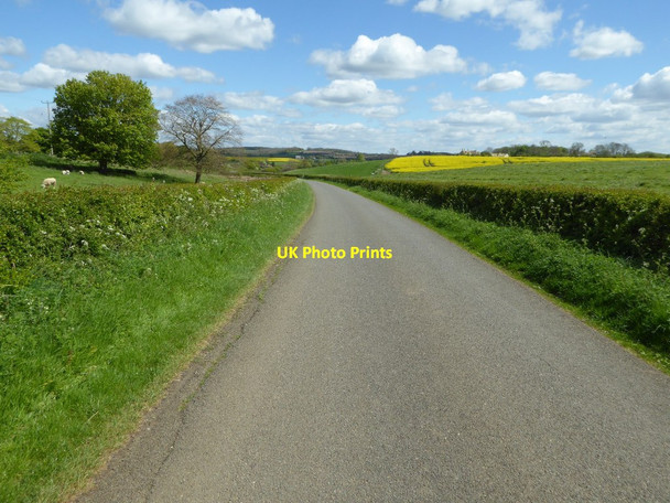 Photo 6"x4" Road approaching Crimscote Crimscote c2017