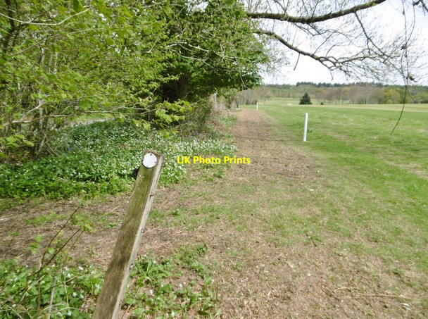 Photo 6"x4" Rushmore Park, marker Deanend c2017
