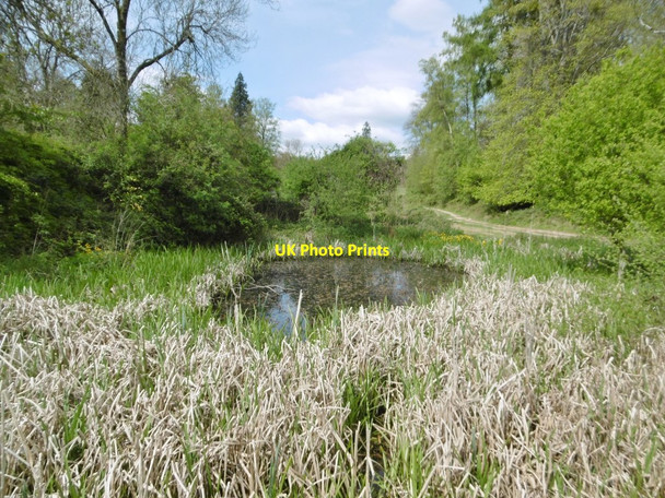 Photo 6"x4" Rushmore Park, pond Deanend c2017