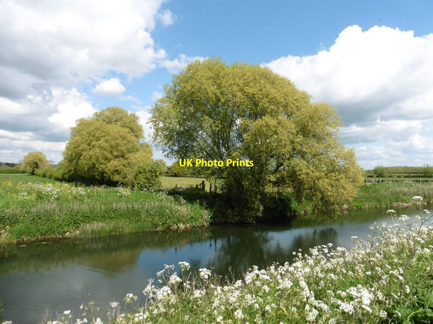 Photo 6"x4" Trees on the river bank Knole\/ST4825 c2017