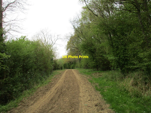 Photo 6"x4" Track alongside Plumpton Wood Woodend\/SP6149 c2017